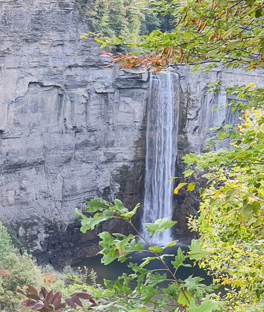 Tompkins County Seeds of Democracy